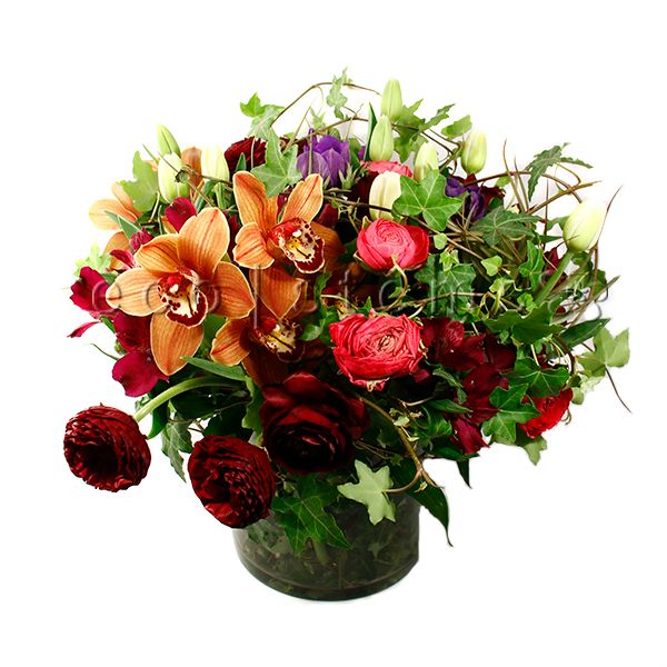 Mixed Fresh Flowers Arrangement with Air Plants Toronto Ontario Delivery