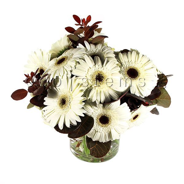 Gerbera Daisy Fresh Flowers Arrangement Toronto Ontario Delivery