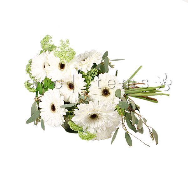 Gerbera Daisy Fresh Flowers -Bouquets & Vase Arrangements