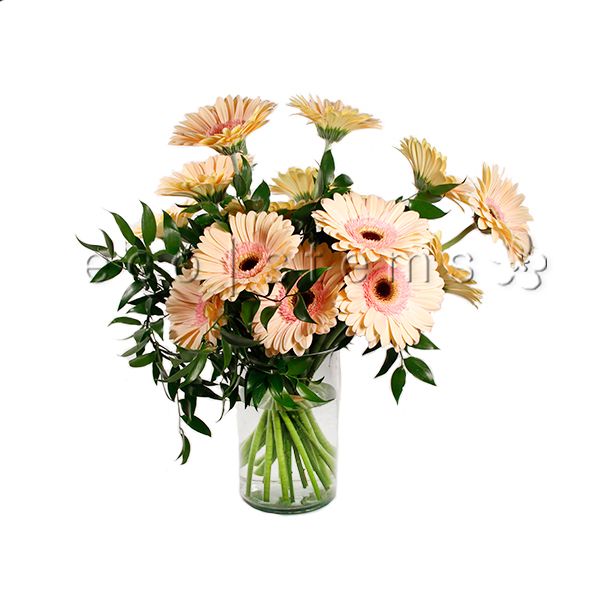 Gerbera Daisy Fresh Flowers Arrangement Toronto Ontario Delivery
