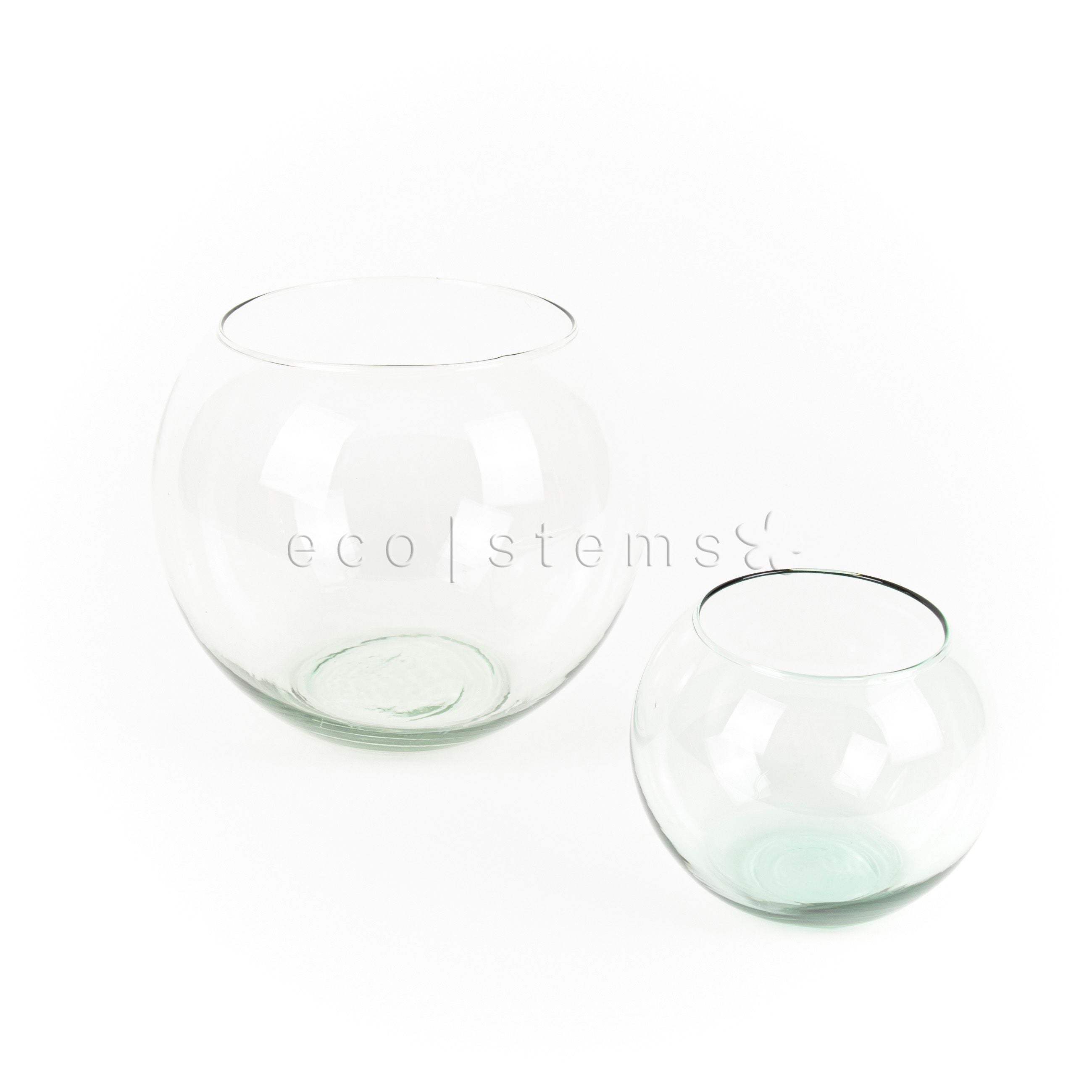Fishbowl Glass Plant & Terrarium Vase Toronto Ontario Delivery
