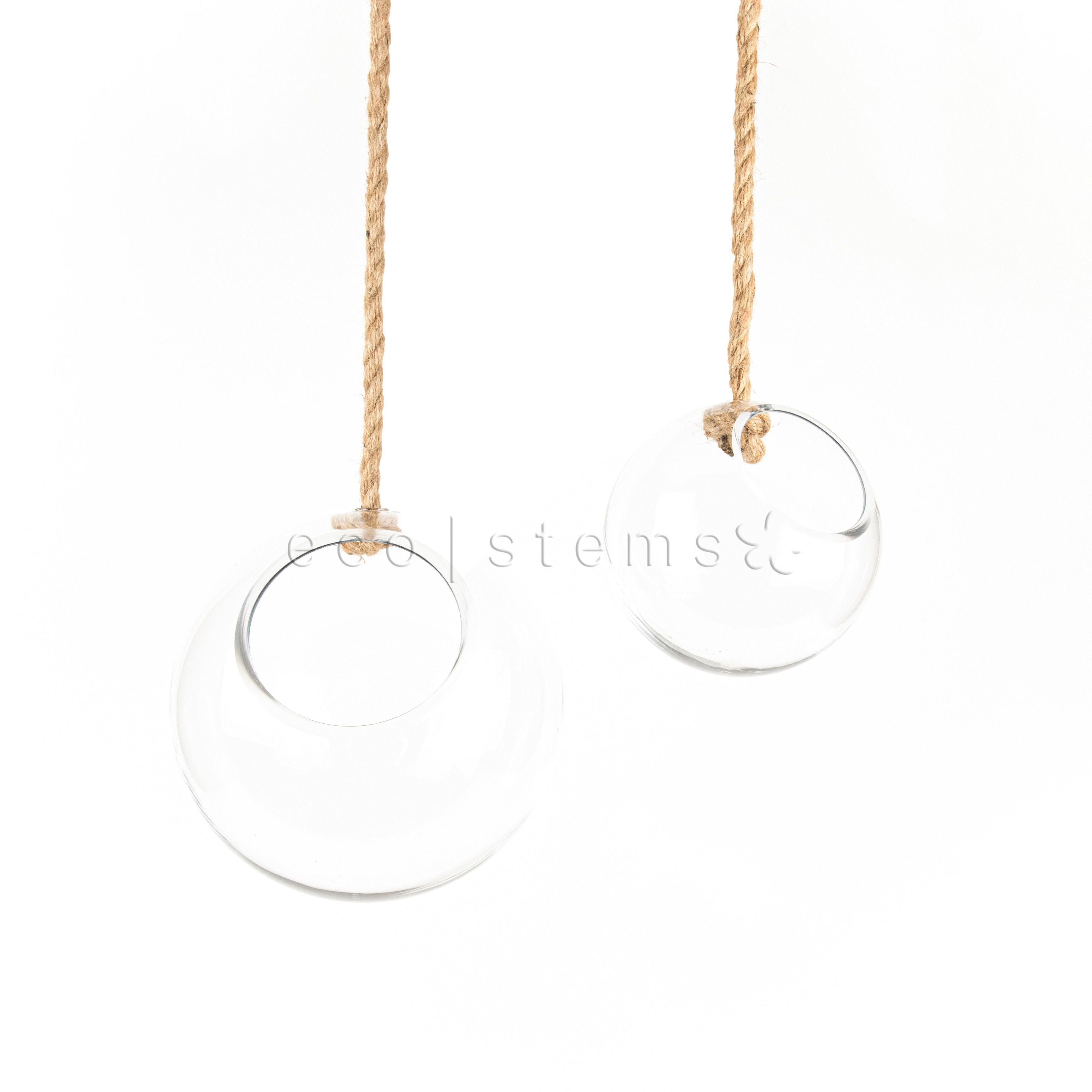 Hanging Globe Terrarium Glass Vase Toronto Ontario Delivery