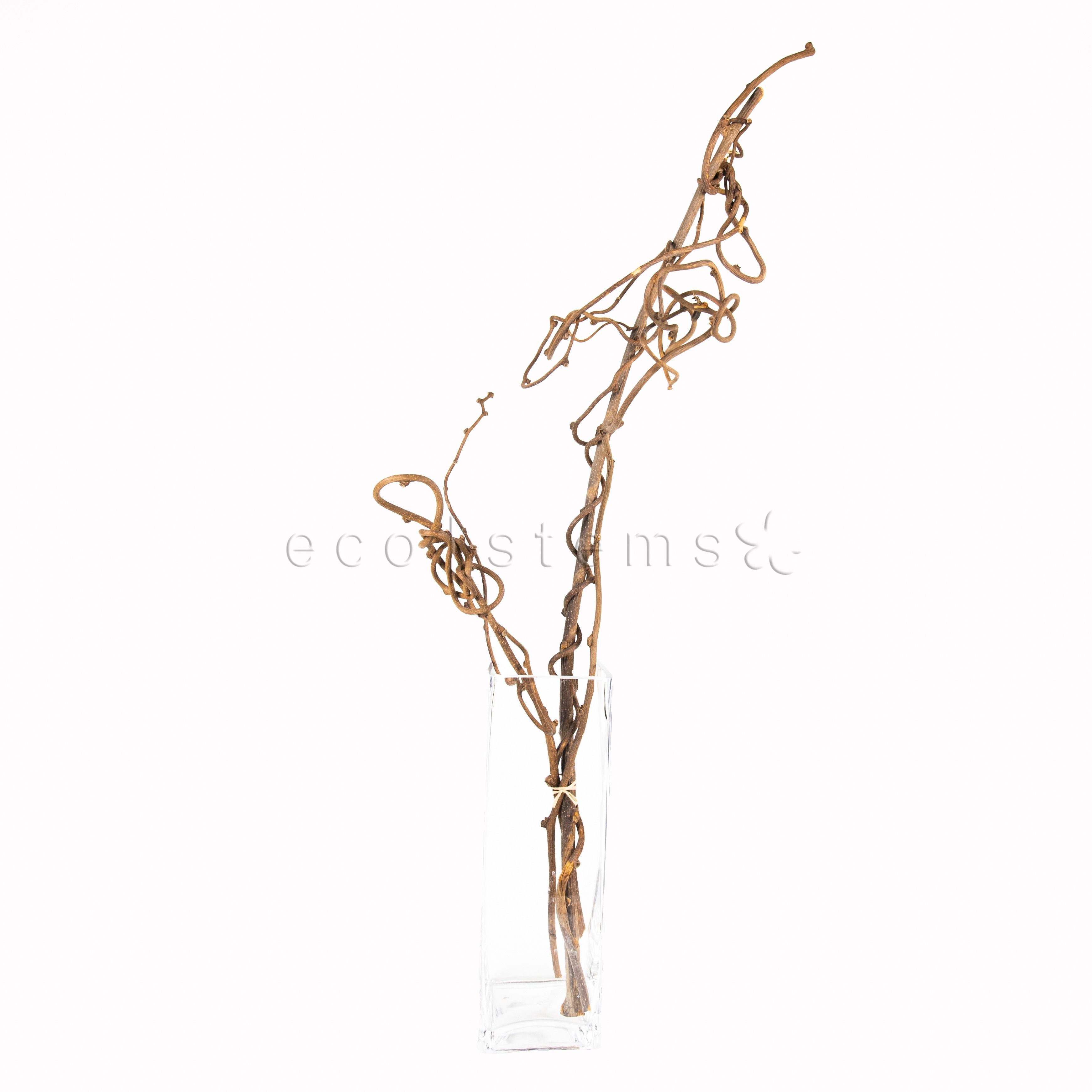 Kiwi Vine Branches Floral Art Toronto Ontario Delivery