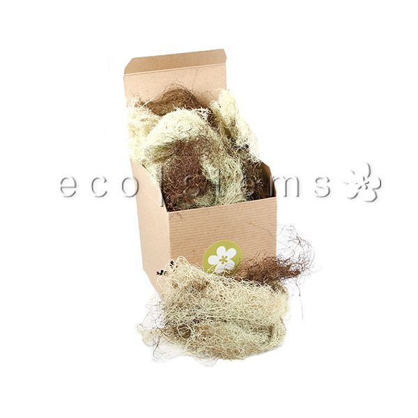 Hair Lichen Toronto Ontario Delivery
