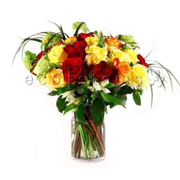 Rose Fresh Flowers Arrangements by the Dozen Toronto Ontario Delivery