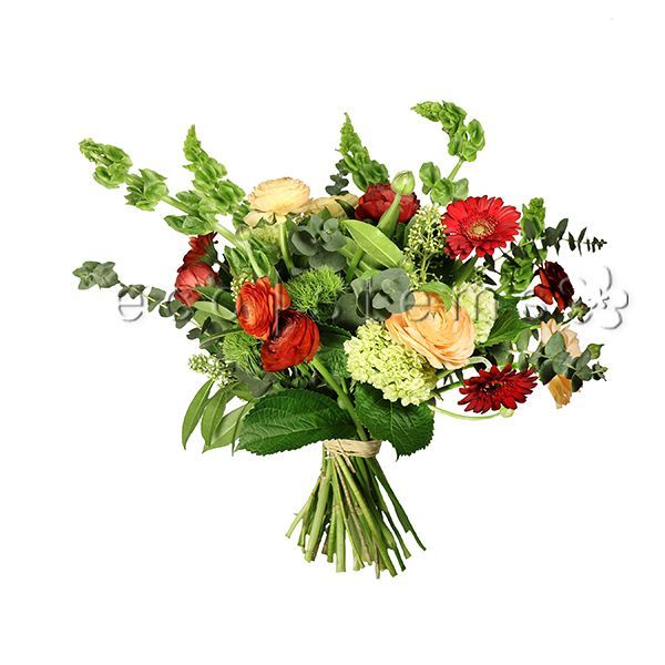 Red-Coral-Green Seasonal Fresh Flowers -Bouquets & Vase Arrangements