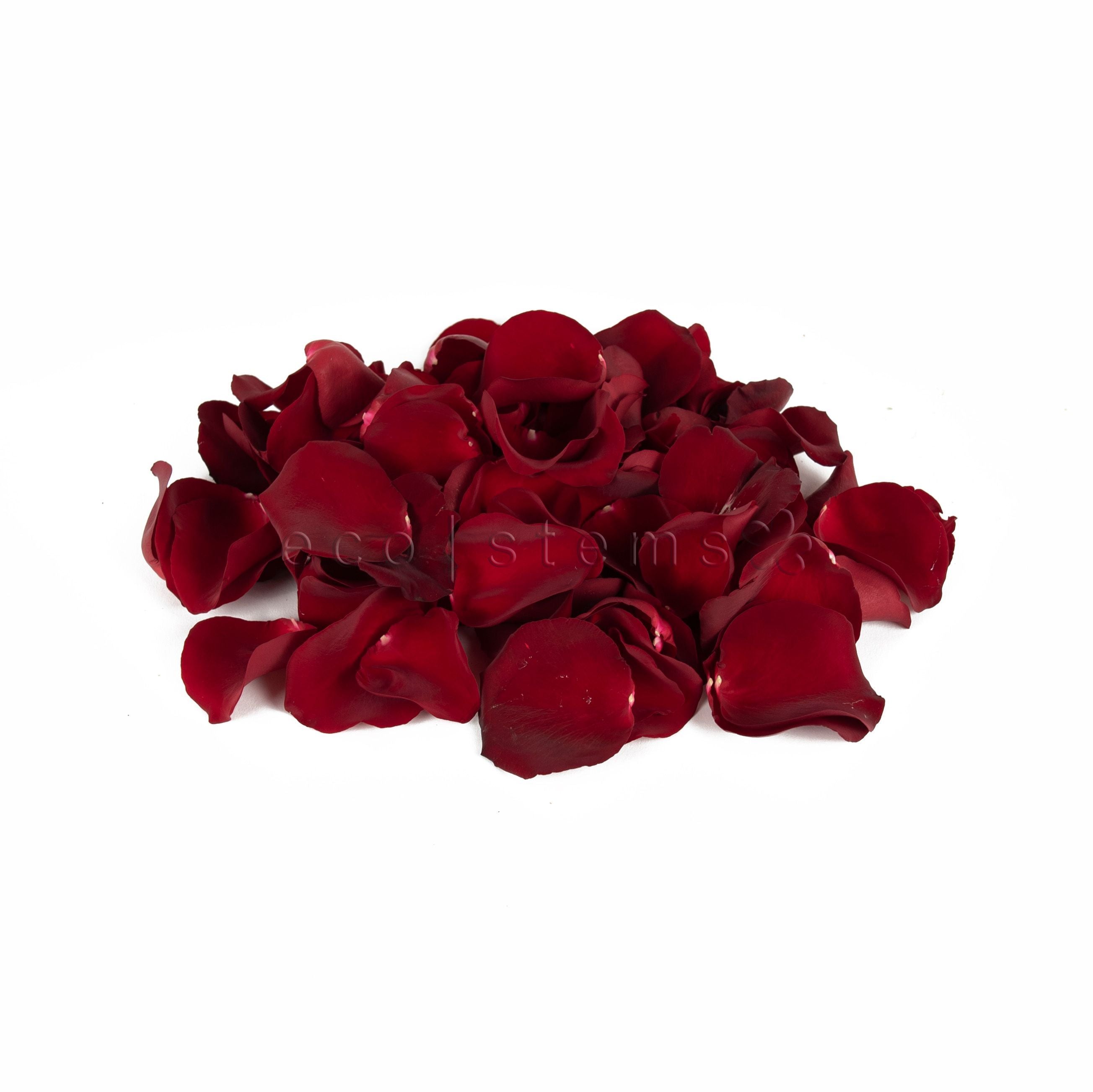Premium Organic Loose Rose Petals Toronto Ontario Delivery