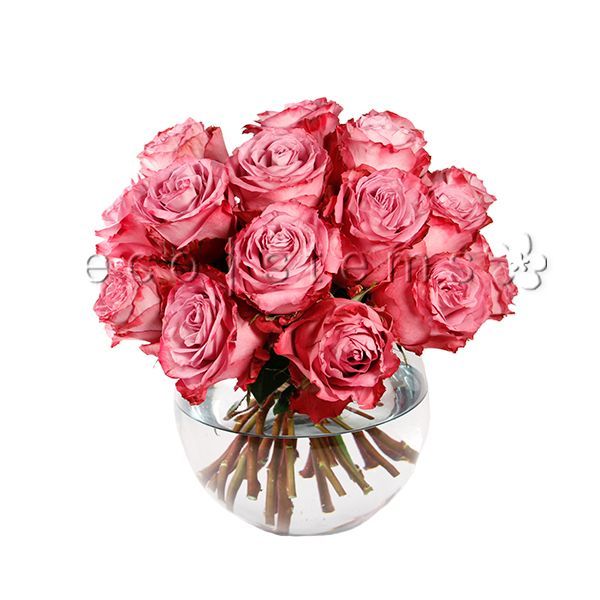 Dozen Roses Fresh Flowers Arrangement Toronto Ontario Delivery