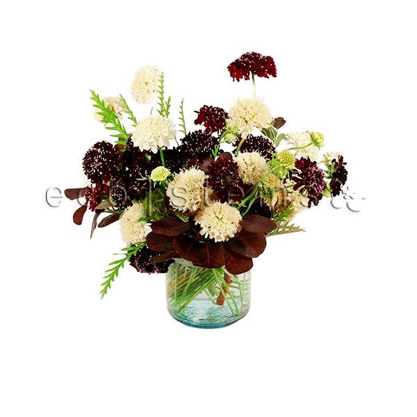 Scabiosa Fresh Flowers Arrangement Toronto Ontario Delivery