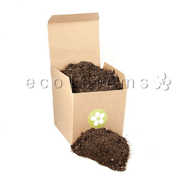 Succulent Soil Toronto Ontario Delivery