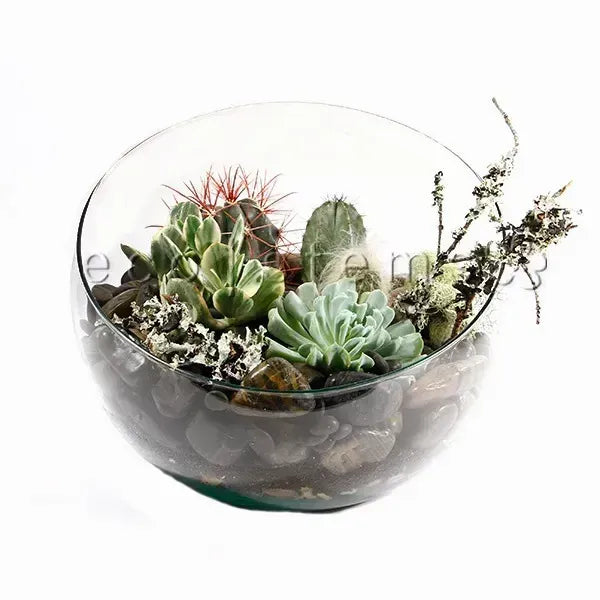 succulent workshop toronto DIY Terrarium Workshop Toronto Delivery