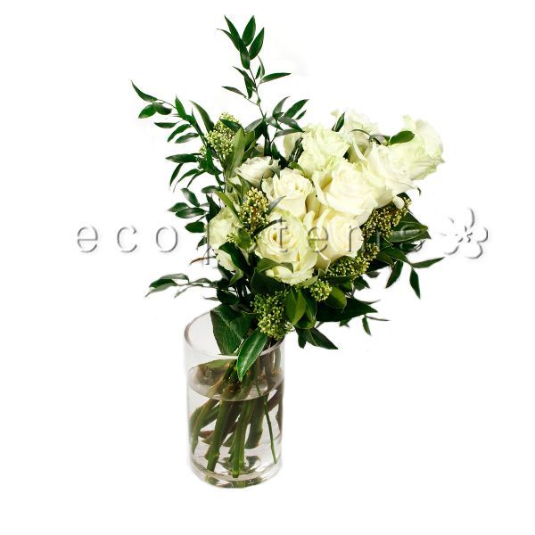 Rose Fresh Flowers Arrangements by the Dozen Toronto Ontario Delivery