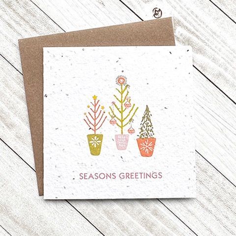 Seasons Greetings Plantable Greeting Card Toronto Ontario Delivery